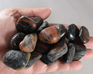 Black Tourmaline & Red Jasper Stones (Large) 3pcs T402