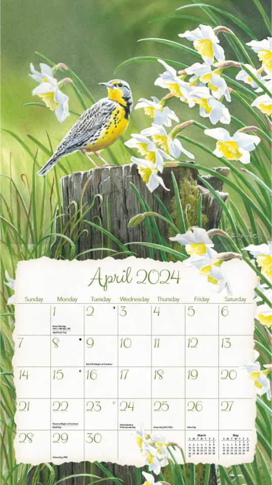 Calendar - Songbirds