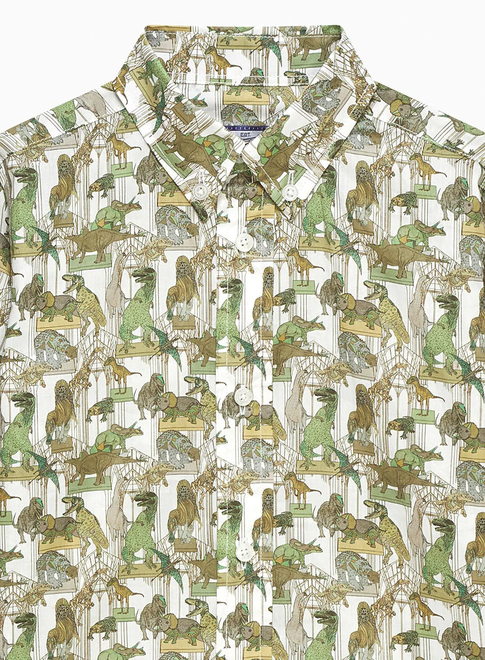 Dinosaur Shirt